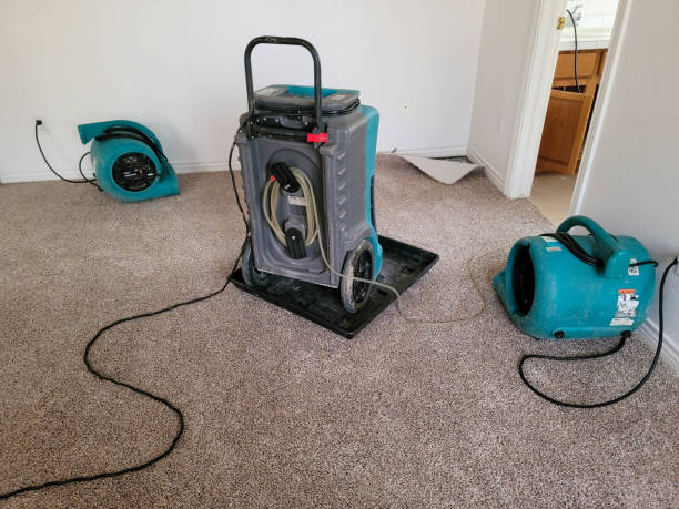 Best Residential water damage restoration  in La Plata, MD