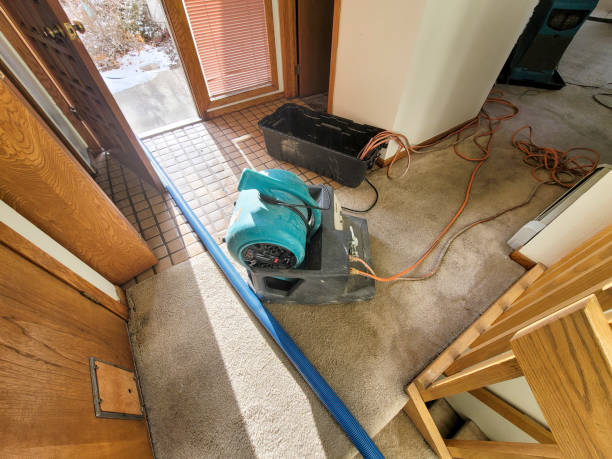 Best Emergency water damage restoration  in La Plata, MD
