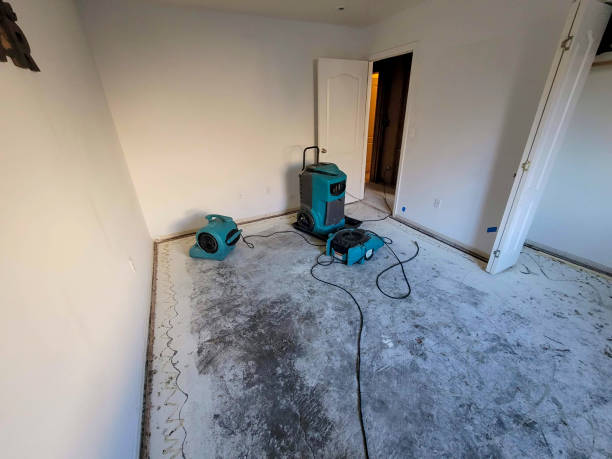 Best Flood restoration services  in La Plata, MD