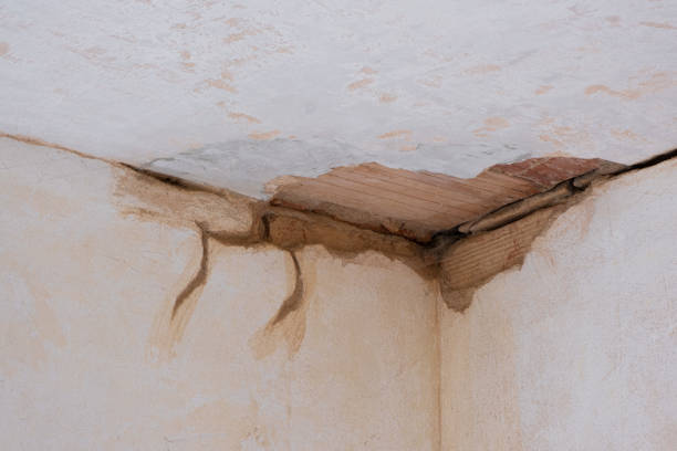 Reliable La Plata, MD Water damage restoration Solutions