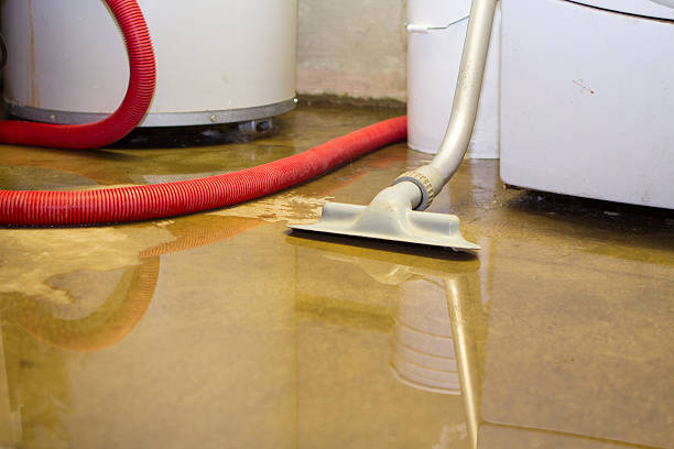 Best Basement water damage restoration  in La Plata, MD