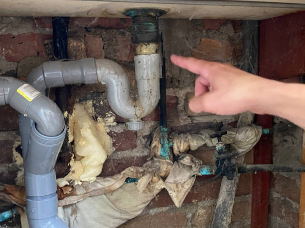 Best Mold removal after water damage  in La Plata, MD