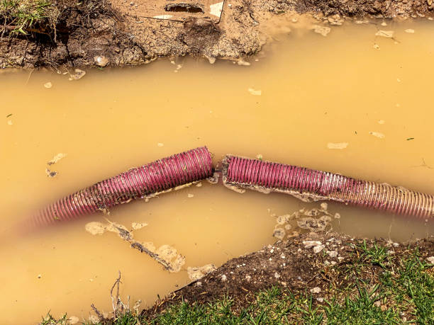 Best Water damage restoration near me  in La Plata, MD
