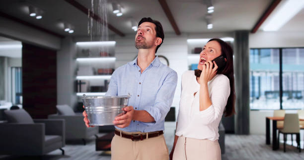 Best Water damage cleanup near me  in La Plata, MD