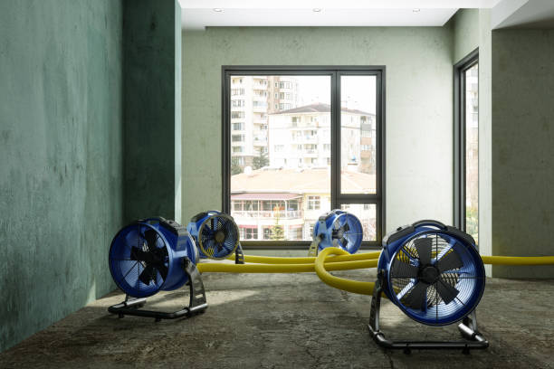 Best Flood restoration services  in La Plata, MD