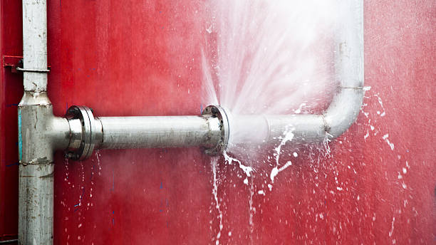 Best Water damage restoration services  in La Plata, MD