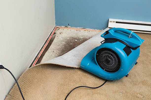 Best Water damage restoration experts  in La Plata, MD